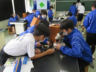 1C (2)