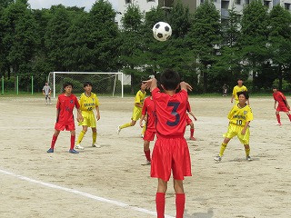 IMG_8174