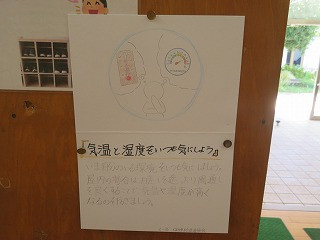 IMG_8380