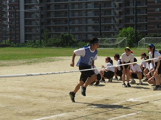 IMG_8533