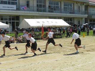 IMG_8553