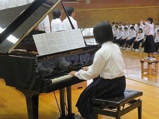 1Cあさがお