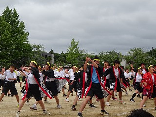 DSC03729
